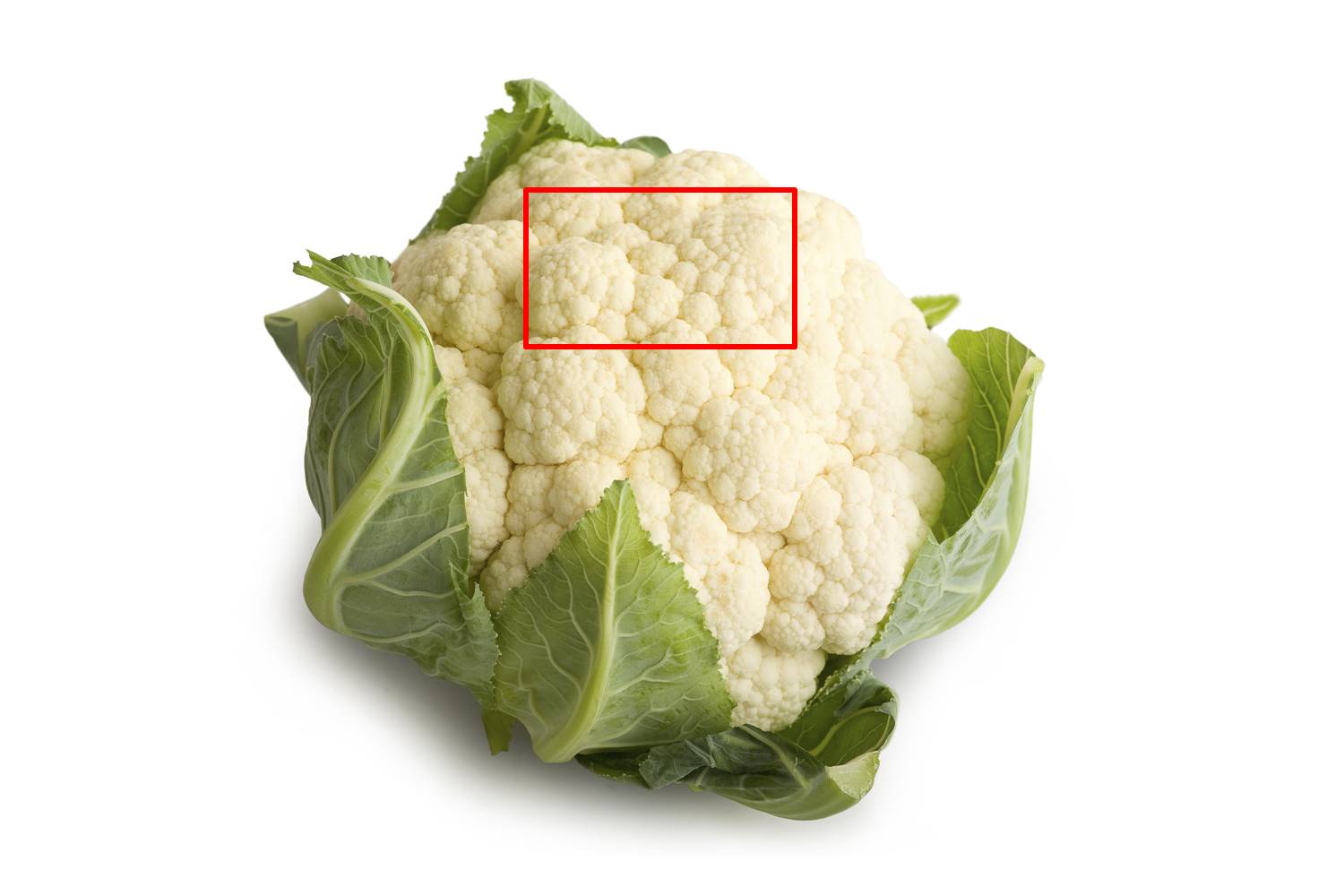 Cauliflower