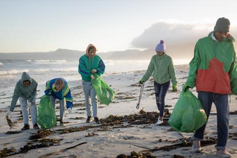 people collecting rubbish on a beach