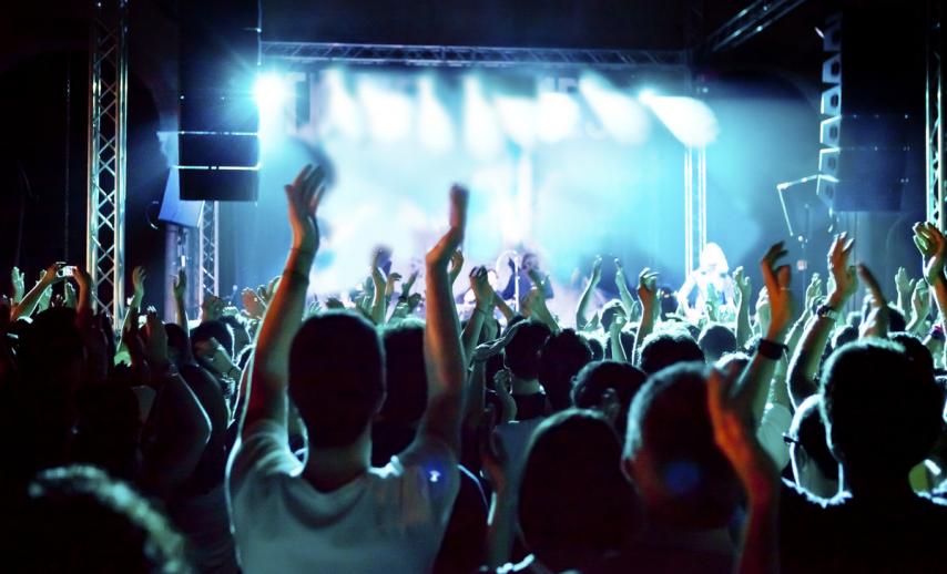 Audience at a concert