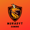 Profile picture for user MuradYT