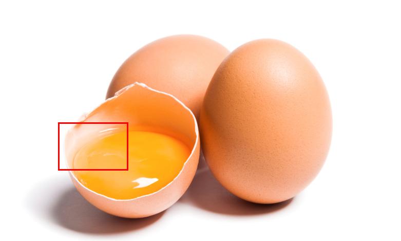 Egg