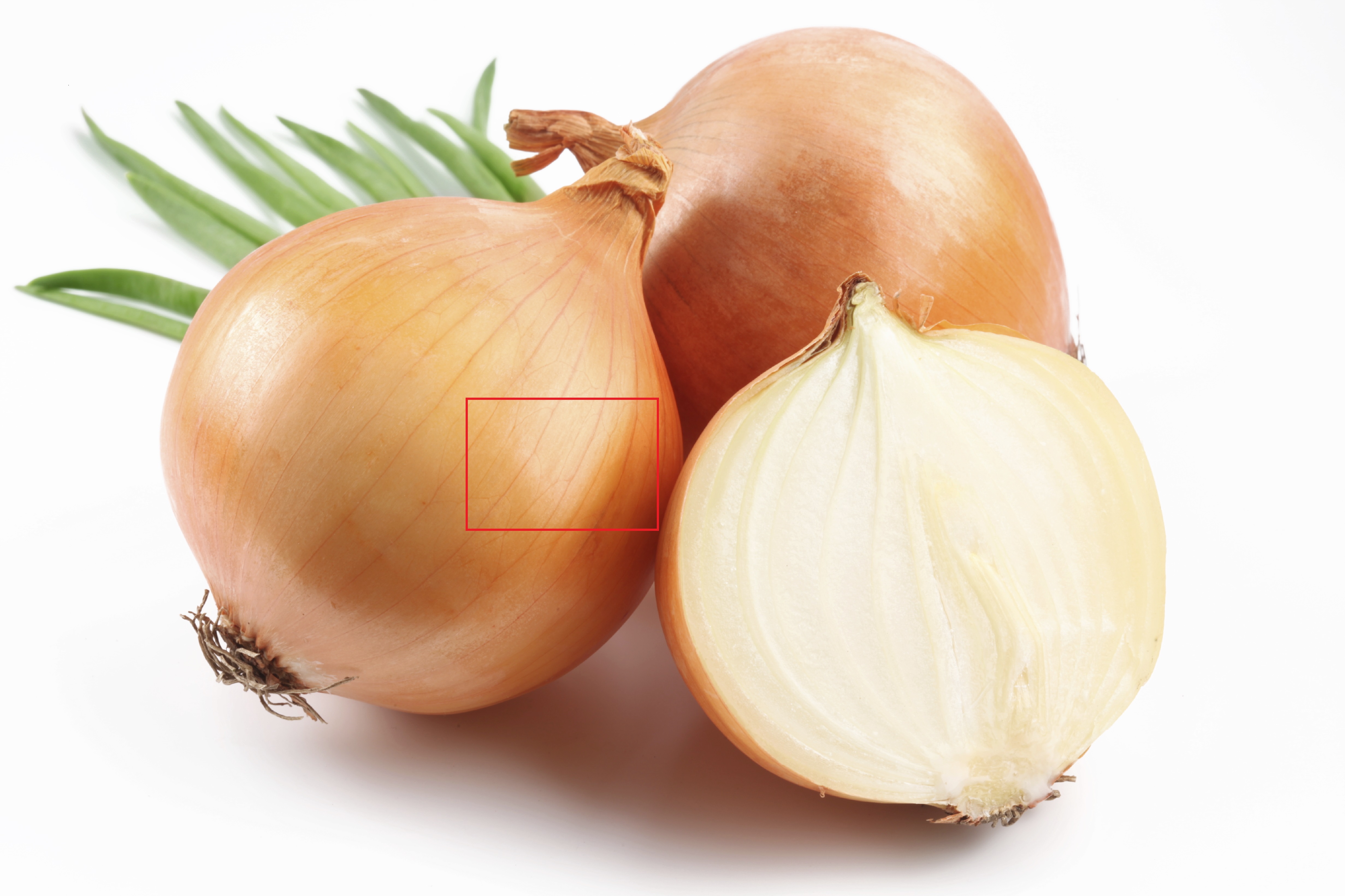 Onion skin